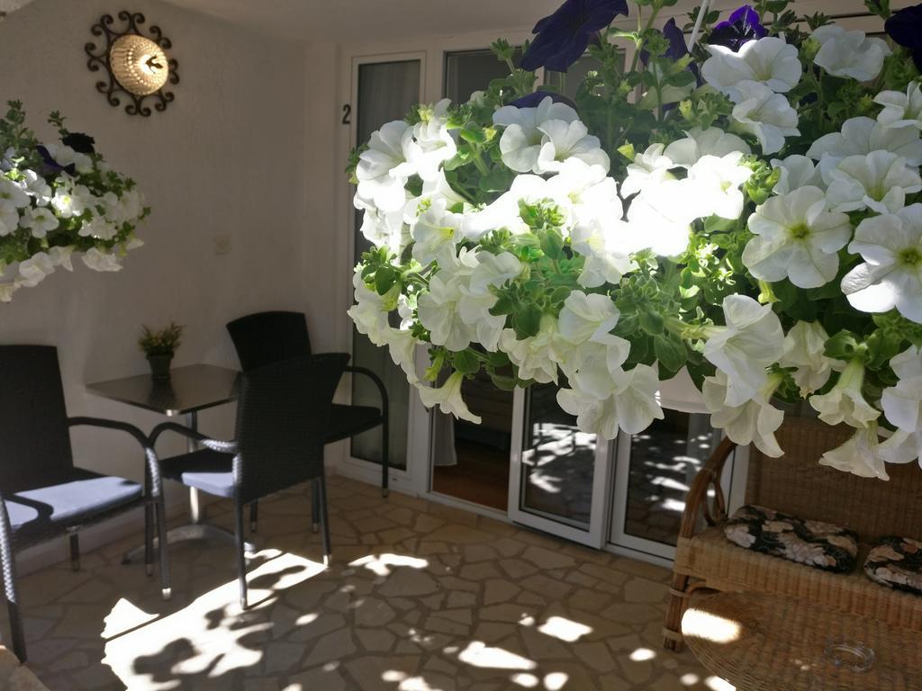 Apartments Ana - Rovinj Ngoại thất bức ảnh